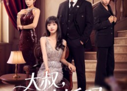 【大叔结婚吗】82集短剧在线观看无广告版