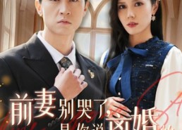 【前妻别哭了，是你说离婚的】42集短剧免费高清在线看