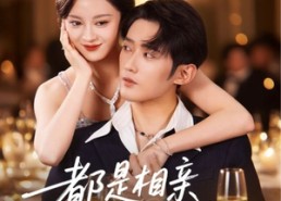 【都是相亲惹的祸】72集短剧免费高清在线观看