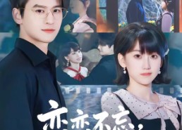 【恋恋不忘，必有回响】80集短剧免费全集在线速看