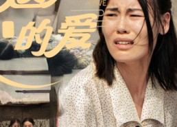 【遗失的爱】30集短剧全集免费在线观赏