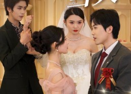 【婚礼当天】30集短剧全集免费观看入口