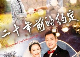 【二十年前的约定】57集免费短剧在线高清看