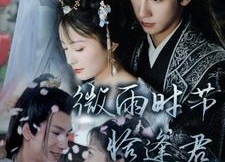 【微雨时节恰逢君】82集短剧免费全集速览