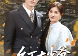 【乡下大少爷来自古代】在线免费看65集短剧全集