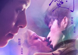 【赘入爱河】71集短剧在线免费畅看全集