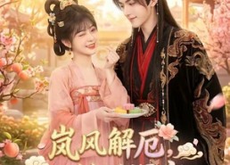 【岚风解厄，甜烬深宫】42集短剧全集免费赏看