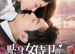 【贴身女侍卫的契约婚姻】91集短剧免费全集赏观