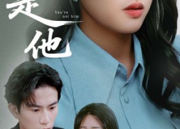 【你不是他】70集短剧在线免费观影