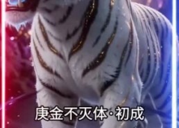 【从小病虎开始吞噬进化】78集短剧免费高清观看