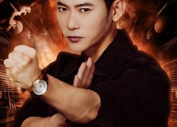 【离婚才知我是拳王，高冷前妻跪求原谅】60集短剧免费全集畅享观看