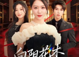 【新：向阳花木易为春】72集短剧完整版在线观