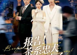 【报告！茶系忠犬抢婚成功了】83集短剧全集在线免费播放