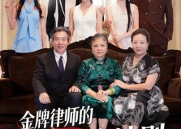 【金牌律师的宅斗生存法则】43集精彩短剧在线畅看