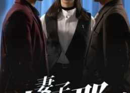 【妻子为何那样】60集短剧免费在线收看