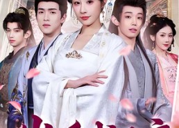 【岁暖残王府】62集短剧全集在线畅看无阻