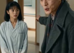【月慵便枕玉凉梦第十三季】95集短剧免费在线完整赏