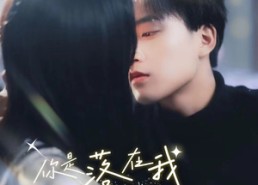 【你是落在我生命里的光】68集短剧完整版免费看