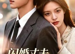 【闪婚丈夫，开飞机带我上班第三季】61集短剧全集在线赏看