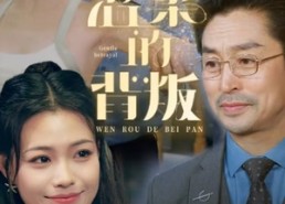 【温柔的背叛】47集在线短剧免费观看