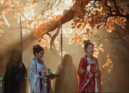 【青鸟衔恨生】61集短剧免费即点即看