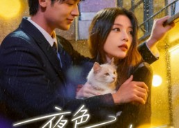 【夜色正浓时】32集短剧在线高清免费看