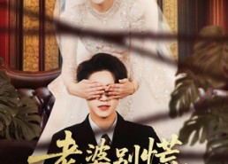 【老婆别慌，我激活系统救你】80集免费短剧全集在线瞧