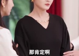 【谢先生拼个婚】84集短剧免费全集畅享