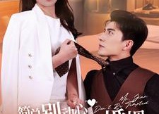 【简总别动心我们只是契约婚姻】百集短剧免费全集畅快看