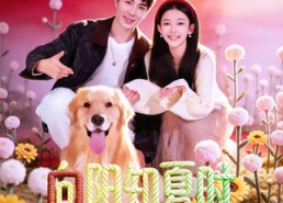 【向阳知夏时】80集短剧免费畅享观看