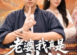 【老婆我真是神仙】88集免费短剧资源在线欣赏