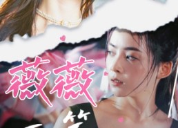 【薇薇一笑很倾城】在线免费短剧80集畅快收看