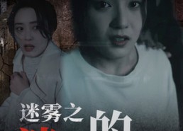 【迷雾之消失的她】73集短剧免费在线追看