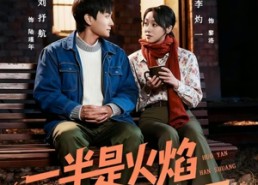 【一半是火焰一半是寒霜】60集短剧高清全集在线观看