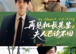 【再见机长先生夫人已读不回】62集短剧免费在线观享