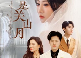 【伤心最是关山月】82集短剧免费在线全集览看