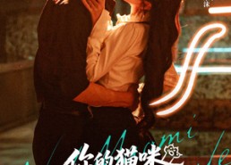 【你的猫咪成女友了】70集免费短剧在线全集赏看