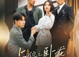 【上位之卧龙不笑凤雏】63集在线短剧免费畅看