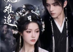 【弃妃难追】64集精彩短剧免费在线观看