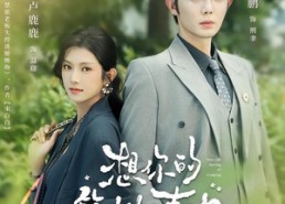 【想你的第七个春日】86集短剧免费全集在线赏播