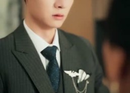 【小锦鲤之我给全家送福气】72集短剧全集在线免费看