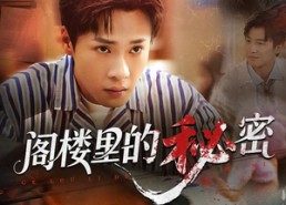 【阁楼里的秘密】76集短剧在线高清观看