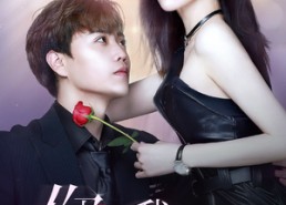 【你是我掌心的刺】100集短剧在线免费赏视