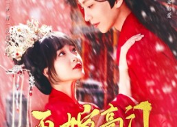 【再嫁高门】99集短剧全集免费畅看