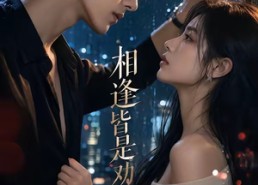 【相逢皆是劝分人】57集短剧免费高清观看