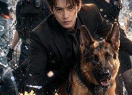 【警犬当的好好的，怎么重生了】61集短剧全集在线免费畅享