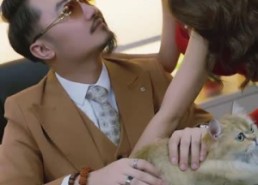 【采花】53集短剧免费全集赏看