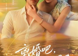 【离婚吧，叶小姐她不忍了】72集短剧完整版在线观看