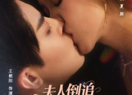 【夫人倒追季先生马甲不要了】80集短剧免费在线看完整版