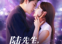 【陆先生，余生不再见】88集短剧全集在线免费看